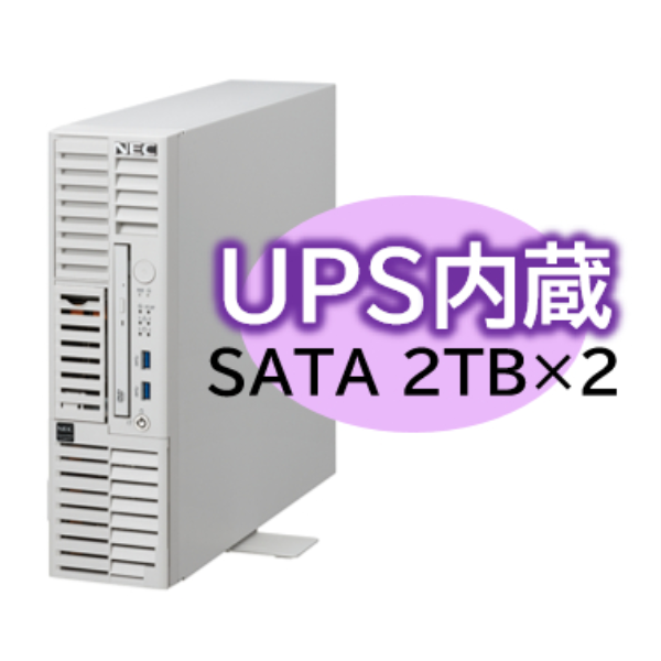 NEC Express5800/D/T110m-S UPS内蔵モデル Xeon E-2414 4C/16GB/SATA 2TB*2RAID1/W2022/タワー3年保証 NP8100-2993YPBY