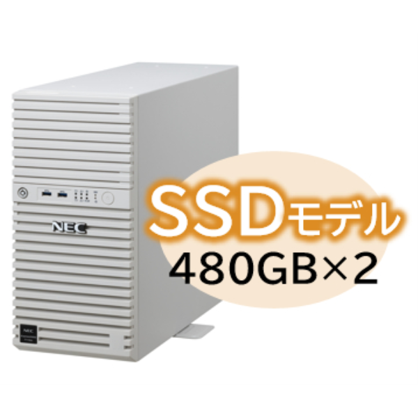 NEC Express5800/D/T110m Xeon E-2414 4C/16GB/SSD 480GB*2 RAID1/W2022/タワー 3年保証 NP8100-2995YP5Y