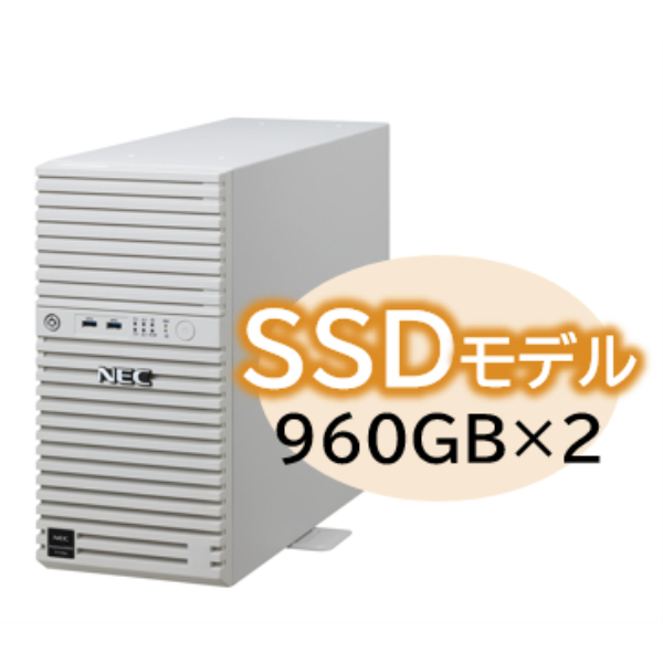 NEC Express5800/D/T110m Xeon E-2414 4C/16GB/SSD 960GB*2 RAID1/W2022/タワー 3年保証 NP8100-2995YP6Y