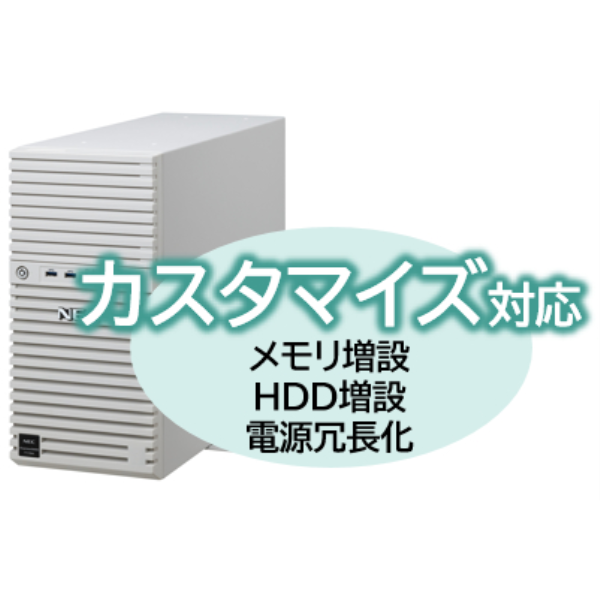 NEC Express5800/D/T110m(カスタマイズ対応) Xeon E-2414 4C/16GB/3.5SATA 2TB*2 RAID1/W2022/タワー NP8100-2995YPDY
