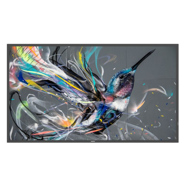 PHILIPS(ディスプレイ) 【法人限定】液晶ディスプレイ（サイネージ） 50型/3840×2160/DVI、HDMI/ブラック/スピーカー：有り/Andro 50BDL3511Q/11