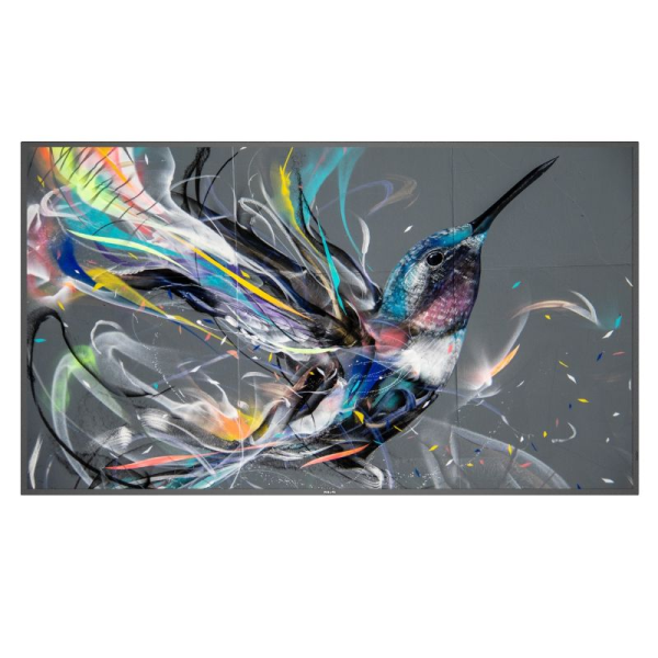 【別途送料有り】 PHILIPS(ディスプレイ) 【法人限定】液晶ディスプレイ（サイネージ） 65型/3840×2160/DVI、HDMI/ブラック/スピーカー：有/4K 65BDL3511Q/11